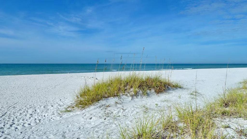 Beach Palms- Unit 102 Aparthotel Clearwater Beach Exterior foto